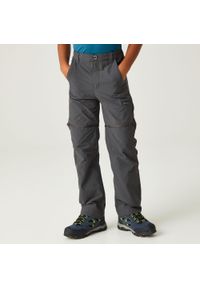 Regatta - Spodnie turystyczne dziecięce Jnr Highton Z/O z odpinanymi nogawkami. Kolor: szary. Sezon: lato. Sport: turystyka piesza #1