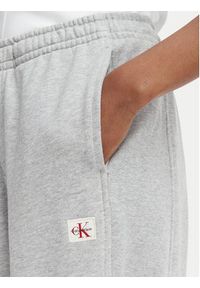 Calvin Klein Jeans Spodnie dresowe LV047C249G Szary jasny Regular Fit. Kolor: szary. Materiał: bawełna #3