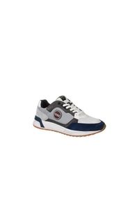 Buty do chodzenia męskie Colmar Dalton Vice. Zapięcie: sznurówki. Kolor: szary. Materiał: guma, materiał, skóra, syntetyk. Szerokość cholewki: normalna. Sport: turystyka piesza