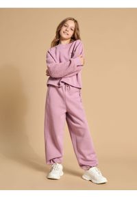 Sinsay - Spodnie dresowe jogger - różowy. Kolor: różowy. Materiał: dresówka
