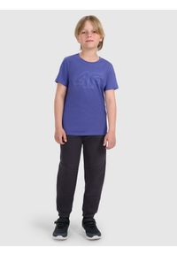 4f - 4F T-shirt regular z nadrukiem chłopięcy - niebieski 140 (9-10 lat). Okazja: na co dzień. Kolor: niebieski. Materiał: bawełna, materiał, jersey. Długość rękawa: krótki rękaw. Długość: krótkie. Wzór: nadruk. Sezon: lato. Styl: klasyczny, młodzieżowy, sportowy, casual