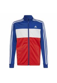 Adidas - Dres Dziecięcy Essentials. Kolor: czerwony, wielokolorowy, niebieski. Materiał: dresówka