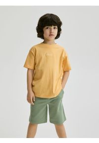 Reserved - Bawełniane szorty - jasnozielony. Kolor: zielony. Materiał: bawełna