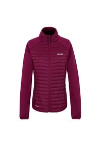 Regatta - Damska Kurtka Hybrydowa Clumber. Kolor: czerwony. Sport: turystyka piesza #1