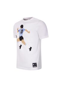 COPA FOOTBALL - Koszulka dla dorosłych - Maradona x COPA Argentyna Graficzna - Biała. Kolor: biały. Sport: piłka nożna