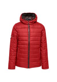 Parka dla dzieci Hummel Hummel North Quilted. Kolor: różowy, czerwony, wielokolorowy. Materiał: tkanina. Sport: piłka nożna