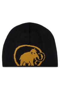 Mammut Czapka Mammut Logo Beanie 1191-04891-7507-1 Brązowy. Kolor: brązowy. Materiał: materiał #3