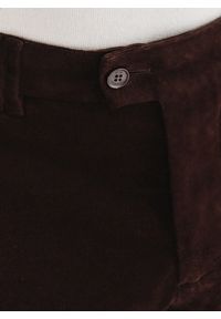 Pako Lorente - Brązowe spodnie sztruksowe. Okazja: na co dzień. Kolor: niebieski, brązowy. Materiał: sztruks. Sezon: zima, jesień. Styl: casual #4