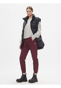 Reebok Spodnie dresowe Classics Franchise IL4627 Bordowy Relaxed Fit. Kolor: czerwony. Materiał: syntetyk