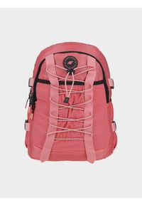 4f - Plecak szkolny (12 L) dziecięcy. Kolor: różowy