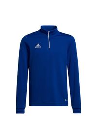 Adidas - Entrada 22 Training Top. Kolor: niebieski #1