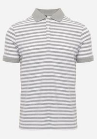 Born2be - Szara Bawełniana Koszulka Polo w Paski w Stylu Casual Elunilla. Okazja: na co dzień. Typ kołnierza: polo. Kolor: szary. Materiał: bawełna. Wzór: paski. Styl: casual #1