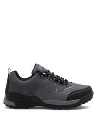 Sprandi Trekkingi CEO-MP86-19003 Szary. Kolor: szary. Materiał: materiał. Sport: turystyka piesza
