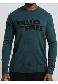 Sinsay - Sweter - zielony. Kolor: zielony #1