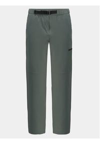 Jack Wolfskin Spodnie outdoor Wandermood Pants 1508441 Zielony Regular Fit. Kolor: zielony. Materiał: syntetyk. Sport: outdoor