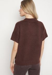Born2be - Brązowy Sweter z Wełną z Krótkim Rękawem i Kołnierzykiem Tevalina. Kolor: brązowy. Materiał: wełna. Długość rękawa: krótki rękaw. Długość: krótkie. Styl: elegancki, klasyczny #6