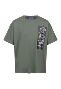 Aramon CLR Regatta męska turystyczna koszulka. Kolor: zielony, wielokolorowy, brązowy. Materiał: bawełna. Długość rękawa: krótki rękaw. Długość: krótkie