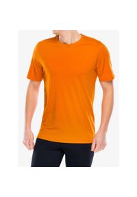Koszulka merino męska Smartwool Active Short Sleeve. Kolor: pomarańczowy. Sport: fitness
