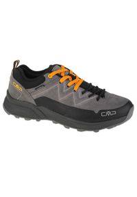 Buty trekkingowe męskie, CMP Kaleepso Low. Kolor: czarny, szary, wielokolorowy. Sport: turystyka piesza