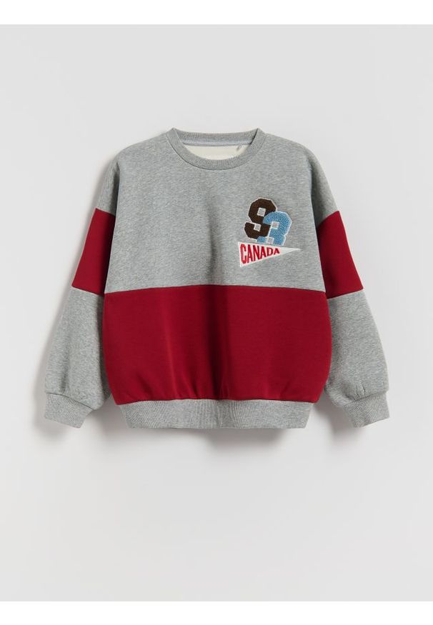 Reserved - Ocieplana bluza z nadrukiem - jasnoszary. Kolor: szary. Materiał: dzianina. Wzór: nadruk