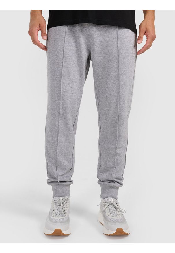 4f - 4F Spodnie dresowe joggery męskie - szare XXL. Kolor: szary. Materiał: dresówka. Sport: fitness, turystyka piesza