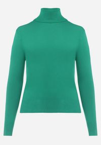 Born2be - Zielony Sweter z Golfem Sazerna. Typ kołnierza: golf. Kolor: zielony. Materiał: dzianina, wiskoza, tkanina. Długość rękawa: długi rękaw. Długość: długie. Wzór: gładki. Sezon: zima, jesień #5