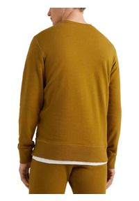 Bluza męska O'Neill Surf State Crew. Kolor: brązowy. Styl: klasyczny