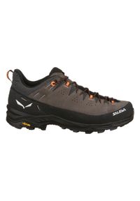 Buty Trekkingowe Męskie Salewa Alp Trainer 2. Kolor: brązowy, wielokolorowy