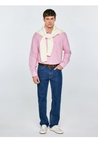 Big-Star - Koszula męska w prążek czerwona Cosiser 603. Okazja: na co dzień. Typ kołnierza: kołnierzyk klasyczny. Kolor: czerwony. Materiał: bawełna, jeans. Wzór: prążki. Styl: casual, elegancki, klasyczny #4