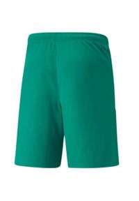 Puma - Męskie Spodenki TeamLIGA. Kolor: zielony. Sport: turystyka piesza