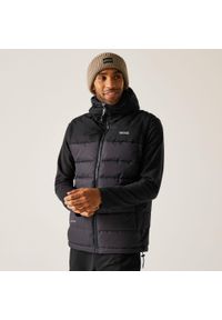 Regatta - Kamizelka męska ocieplana Aldthorn. Kolor: wielokolorowy, szary, brązowy. Materiał: puch, syntetyk. Długość rękawa: bez rękawów. Sezon: zima #1