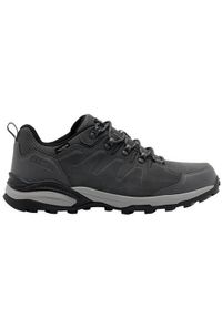 Buty trekkingowe męskie Jack Wolfskin Efugio Texapore Low M. Zapięcie: sznurówki. Kolor: szary, wielokolorowy. Materiał: skóra. Szerokość cholewki: normalna. Sport: turystyka piesza #2