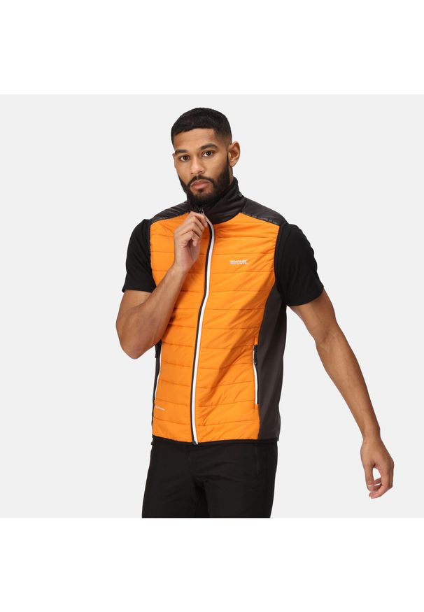 Halton VII Regatta męska turystyczna kamizelka ocieplana. Kolor: pomarańczowy. Długość rękawa: bez rękawów. Sport: turystyka piesza