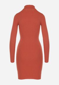 Born2be - Pomarańczowa Dopasowana Sukienka z Prążkowanej Dzianiny z Golfem Seralinda. Okazja: na co dzień. Typ kołnierza: golf. Kolor: pomarańczowy. Materiał: prążkowany, dzianina. Długość rękawa: długi rękaw. Styl: wizytowy, klasyczny, casual #7