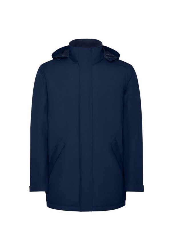 ROLY - Męska Ocieplana Parka America. Kolor: niebieski. Materiał: puch. Sport: turystyka piesza