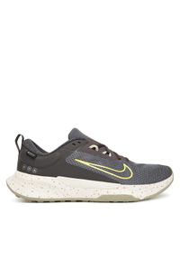 Nike Buty do biegania Juniper Trail 2 Gtx V2 HM9734 200 Szary. Kolor: szary. Materiał: materiał