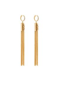 Elisabetta Franchi Kolczyki OR-29A-47E2-V340 Złoty. Materiał: złote. Kolor: złoty