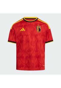 Adidas - Koszulka piłkarska dla dzieci ADIDAS Belgia 26 domowa. Technologia: ClimaCool (Adidas). Sport: piłka nożna #1
