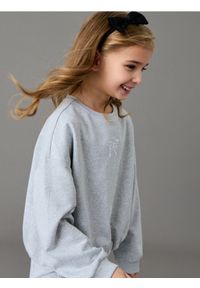 Sinsay - Bluza crewneck z haftem - szary. Kolor: szary. Wzór: haft #1