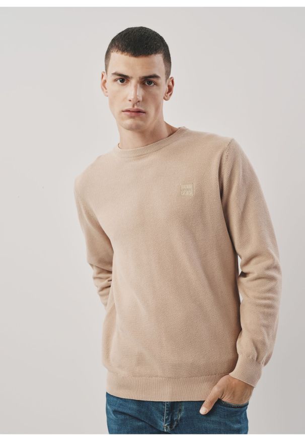 Ochnik - Beżowy bawełniany sweter męski z logo. Kolor: beżowy. Materiał: bawełna. Długość: długie. Wzór: aplikacja