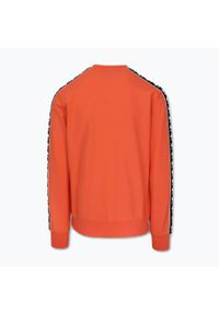 PITBULL - Bluza męska Pitbull Tape Nugget Crewneck Sweatshirt. Kolor: pomarańczowy