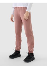 4f - 4F Spodnie dresowe joggery damskie - beżowe S. Kolor: brązowy. Materiał: dresówka. Wzór: ze splotem, gładki #2