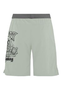 Spodenki treningowe męskie THORN FIT SWAT 2.0. Kolor: niebieski, turkusowy, wielokolorowy. Materiał: poliester. Długość: krótkie. Sezon: lato