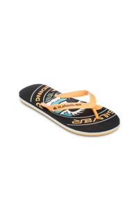 Quiksilver - Klapki dla Mężczyzn MOLOKAI SCREEN. Okazja: na plażę. Kolor: czarny. Materiał: guma, syntetyk, materiał. Styl: sportowy