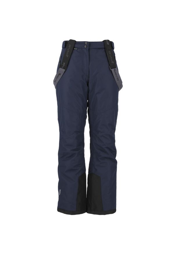 Spodnie narciarskie damskie Whistler Fairway W-PRO 10000. Kolor: niebieski. Sezon: zima. Sport: narciarstwo
