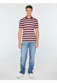 Big-Star - koszulka męska polo w białe paski bordowa talus 604. Okazja: na co dzień. Typ kołnierza: polo. Kolor: czerwony. Materiał: bawełna, sztruks, jeans, dzianina. Wzór: paski. Sezon: zima, jesień. Styl: casual, sportowy, klasyczny #5