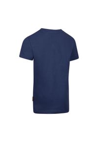 TRESPASS - T-shirt Dla Chłopca Alltown. Kolor: wielokolorowy, niebieski, szary