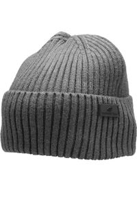 4f - Czapka Unisex Dla Dorosłych. Kolor: szary