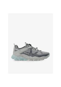 Aku - Buty turystyczne damskie AKU Flyrock GTX. Kolor: szary. Styl: sportowy #1