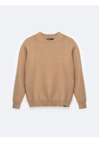 Big-Star - Sweter męski o teksturalnym splocie bawełniany brązowy Reylon 802. Okazja: na co dzień. Kolor: brązowy. Materiał: bawełna. Wzór: ze splotem. Styl: elegancki, klasyczny, casual #5